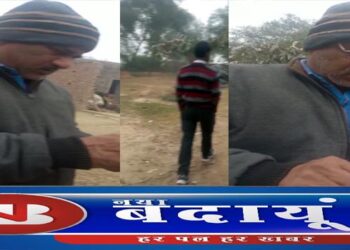 देखिए बदायूं में पशुपालन विभाग के भ्रष्ट अफसर कैसे खा रहे छुट्टा गोवंशों के चारा को दिए जाने वाला धन