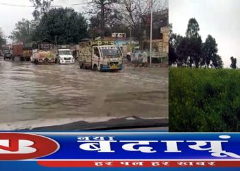 बे-मौसम बारिश ने किया पानी-पानी, किसानों की लहटा सहित फसलें बर्वाद