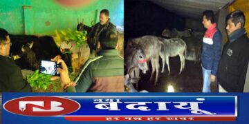 गोवंश की समस्याओं पर गोशालाओं की व्यवस्थाएं देखने निकले विधायक और अफसर