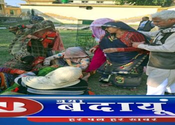 छोटा हाथी ने बाइक सवारों को रौंदा, शिक्षामित्र सहित दो की मौत