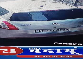 दूध पी रहे पिल्ला को गाड़ी से कुचला तो पति सहित प्रिंसिपल पर मुकदमा