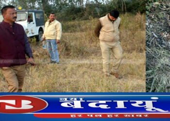 हमला में घायल हुआ था तेंदुआ, सिर में चोट लगने से मौत