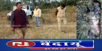 हमला में घायल हुआ था तेंदुआ, सिर में चोट लगने से मौत