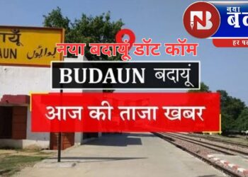 फिर मैदान में दो-दो हाथ को तैयार सट्टाकिंग की पत्नी