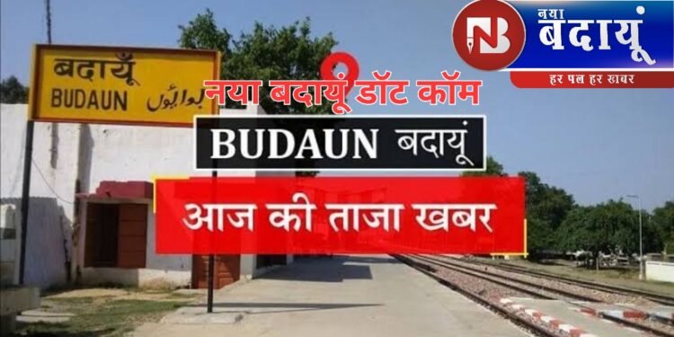 फिर मैदान में दो-दो हाथ को तैयार सट्टाकिंग की पत्नी