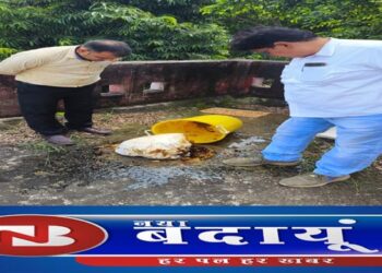 डेंगू-मलेरिया से निपटने को चलाया जायेगा संचारी अभियान