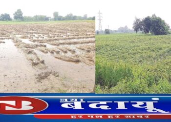 एक घंटे की बारिश ने जलभराव के साथ किसानों को बढ़ाईं दुश्वारियां