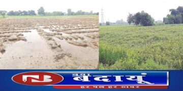 एक घंटे की बारिश ने जलभराव के साथ किसानों को बढ़ाईं दुश्वारियां