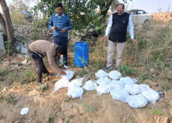 शादियों को सप्लाई हो रहा मिलावटी पनीर बिनावर में पकड़ा, नष्ट कराया