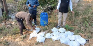 शादियों को सप्लाई हो रहा मिलावटी पनीर बिनावर में पकड़ा, नष्ट कराया