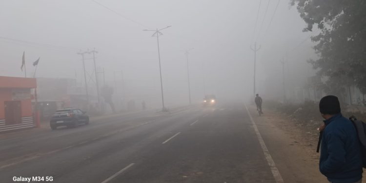 Badaun : कोहरा के साथ आसमान से बर्फीली, गलन बरकरार