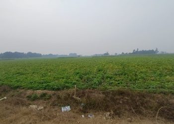 मौसम का बदला मिजाज, हवाओं संग बादलों का डेरा, 20 से 25 किलोमीटर प्रति घंटा की रफ्तार से चल रही हवाएं