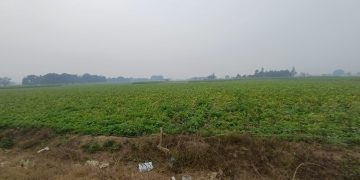 मौसम का बदला मिजाज, हवाओं संग बादलों का डेरा, 20 से 25 किलोमीटर प्रति घंटा की रफ्तार से चल रही हवाएं