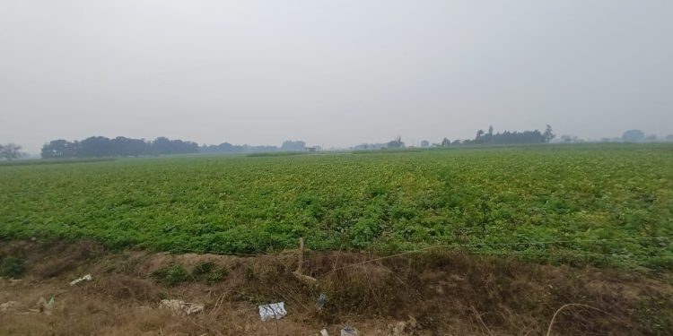 मौसम का बदला मिजाज, हवाओं संग बादलों का डेरा, 20 से 25 किलोमीटर प्रति घंटा की रफ्तार से चल रही हवाएं