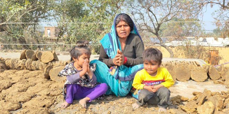 मां संग बच्चों ने सोशल मीडिया पर लगाई गुहार, डीएम साहब बिजली लाइन हटवा….