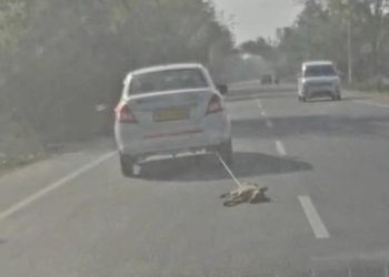 शर्मसार : बदायूं में गाड़ी में कुत्ता को बांधकर हाईवे पर किलो मीटर घसीटा, वीडियो वायरल