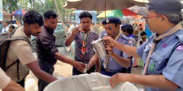 वनस्पतियां और औषधियां हो रहीं नष्ट, मानव जीवन पर मंडरा रहा खतरा