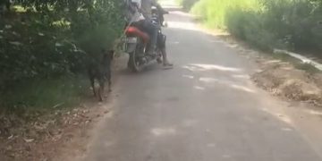 बाइक से बांधकर कुत्ते को बेरहमी से घसीटा, सोशल मीडिया पर वीडियो वायरल