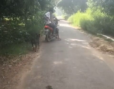 बाइक से बांधकर कुत्ते को बेरहमी से घसीटा, सोशल मीडिया पर वीडियो वायरल