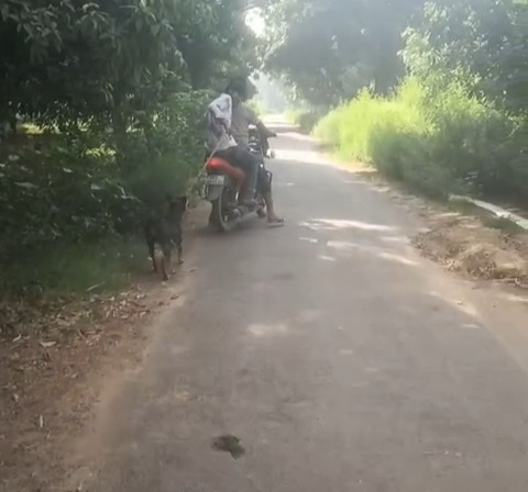 बाइक से बांधकर कुत्ते को बेरहमी से घसीटा, सोशल मीडिया पर वीडियो वायरल