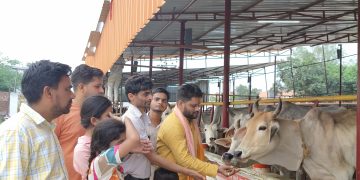 समाजसेवी दिनेश चंद्र शर्मा की तृतीय पुण्यतिथि सेवाभाव के साथ मनाई