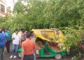 Badaun-बारिश और आंधी का कहर: ऑटो पर पेड़ गिरने से महिला की मौत, एक गंभीर घायल