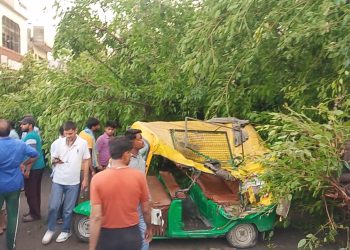 Badaun-बारिश और आंधी का कहर: ऑटो पर पेड़ गिरने से महिला की मौत, एक गंभीर घायल