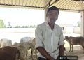 गोशाला में अव्यवस्थाओं और गोवंशों की मौत का आरोप, ग्रामीण ने की जांच की मांग