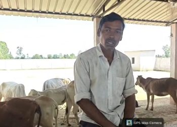 गोशाला में अव्यवस्थाओं और गोवंशों की मौत का आरोप, ग्रामीण ने की जांच की मांग