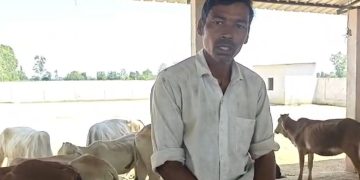 गोशाला में अव्यवस्थाओं और गोवंशों की मौत का आरोप, ग्रामीण ने की जांच की मांग