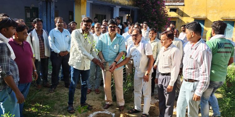 बदायूं में विश्व पर्यावरण दिवस पर सपा के पूर्व मंत्री आबिद रजा का बड़ा संदेश “हर व्यक्ति लगाए एक पौधा”