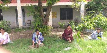 गिन्दो देवी महिला महाविद्यालय में “एक पेड़ मां के नाम” थीम पर हुआ पौधरोपण