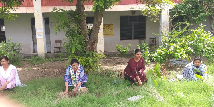 गिन्दो देवी महिला महाविद्यालय में “एक पेड़ मां के नाम” थीम पर हुआ पौधरोपण