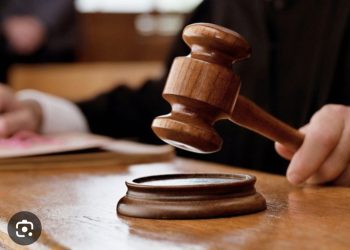 फर्जी बिजली कनेक्शन व बिल प्रकरण में कोर्ट सख्त, एफआईआर दर्ज करने के निर्देश