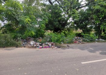 हाईवे किनारे कचरे का ढेर, नगर पंचायत की लापरवाही से कांवड़ियों की आस्था पर संकट
