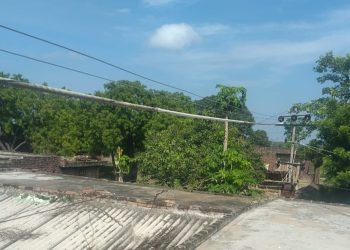 घर के ऊपर से गुजर रही 11 हजार वोल्ट लाइन बनी जानलेवा, परिवार ने बिजली विभाग से लगाई गुहार
