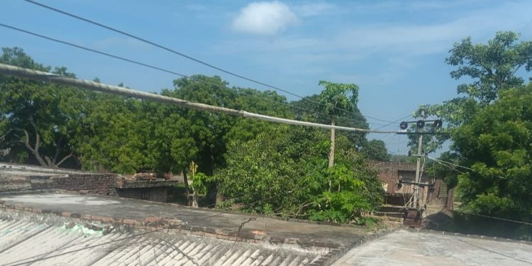 घर के ऊपर से गुजर रही 11 हजार वोल्ट लाइन बनी जानलेवा, परिवार ने बिजली विभाग से लगाई गुहार