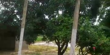 बरसात की अंधेरी रात : पुलिस की गहरी नींद में चोरों ने मचाया तांडव, नलकूप और खाद गोदाम में चोरी