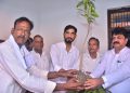 शेखूपुर विधानसभा में स्व. सरनाम सिंह यादव की स्मृति में विशाल पौधारोपण