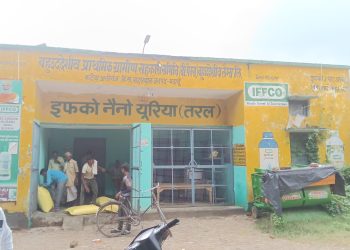 खाद की किल्लत : कालाबाजारी का खेल, छोटे किसान लाइन में—बड़े किसानों को धड़ल्ले से मिल रही डीएपी-यूरिया