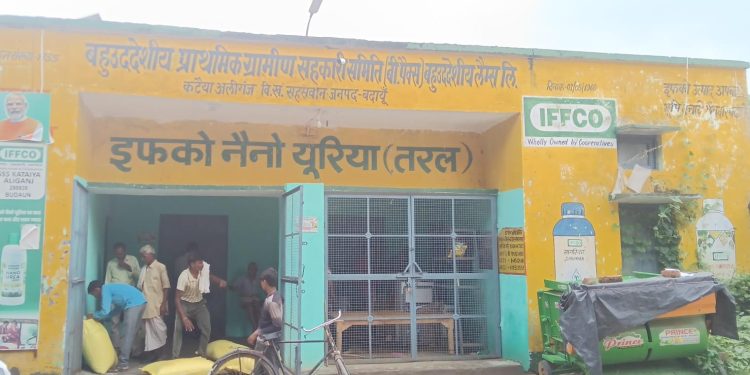 खाद की किल्लत : कालाबाजारी का खेल, छोटे किसान लाइन में—बड़े किसानों को धड़ल्ले से मिल रही डीएपी-यूरिया
