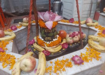 फलों और फूलों से हुआ लिंगेश्वर नाथ महादेव का भव्य-दिव्य श्रृंगार
