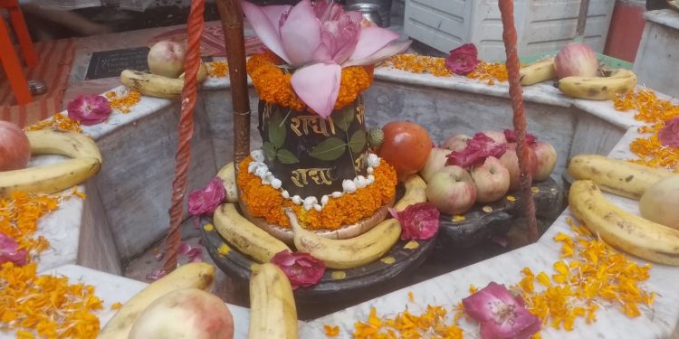 फलों और फूलों से हुआ लिंगेश्वर नाथ महादेव का भव्य-दिव्य श्रृंगार