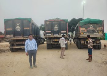 परिवहन विभाग की बड़ी कार्रवाई, 208 वाहनों पर चालान-सीज का कसा शिकंजा