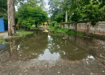 वन विभाग रोड़ और कालोनी में जलभराव, निर्माण की मांग