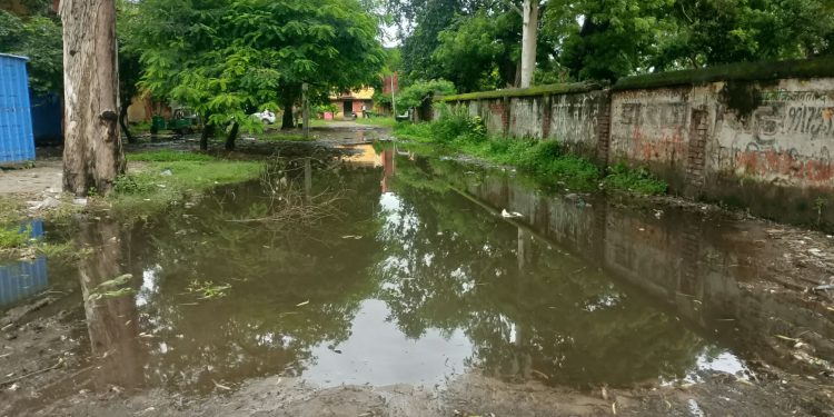 वन विभाग रोड़ और कालोनी में जलभराव, निर्माण की मांग