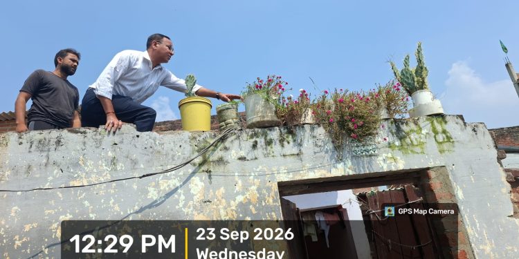 डेंगू ने बढ़ाई स्वास्थ्य विभाग की धड़कन, मीरापुर के बाद नेथू में भी मौतों से हड़कंप, खाक छान रहे अफसर