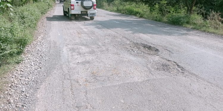 गहरे गड्ढों में तब्दील एमएफ हाईवे, हादसे का खतरा बढ़ा