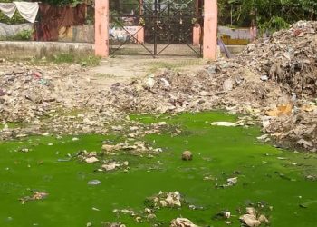 11 हजार वोल्ट की लाइन की चपेट में आने से युवक की मौत, परिवार में मचा कोहराम